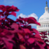 Senate rejects resolution to halt the Iran war as gas prices upend midterms