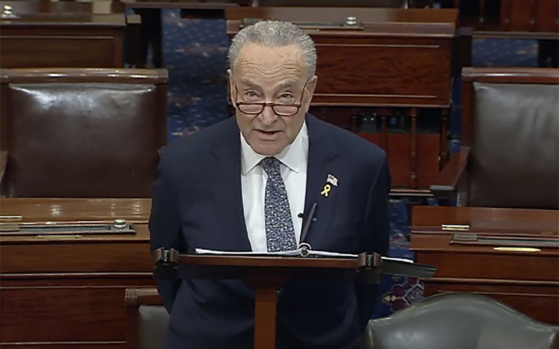 Schumer's anti-Bibi remarks: 'Plain wrong' … 'disgusting' … and 'stupid'