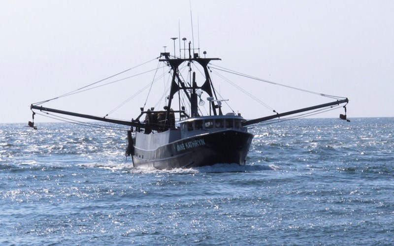 Federal studies confirm fishermen concerns over offshore windmills