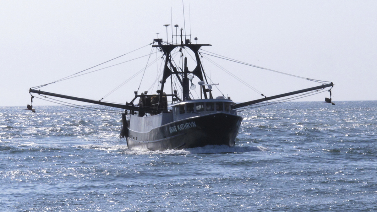 Federal studies confirm fishermen concerns over offshore windmills - Vimarsana News