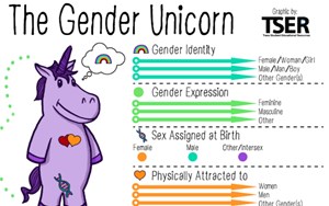Gender Unicorn (sex unknown)