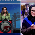Could former NFL reporter score big in blue-state Minnesota?