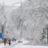 Northeast sees more snow from colossal winter storm, at least 25 deaths reported