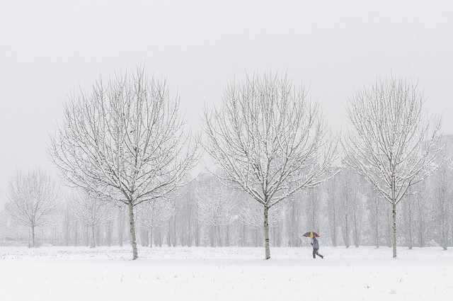 Heavy snow blankets parts of the US during busy holiday travel weekend