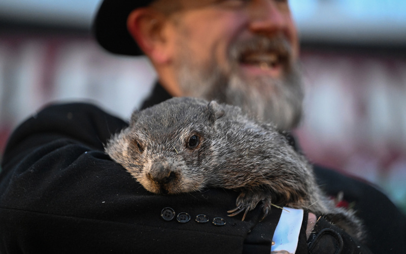 Punxsutawney Phil sees his shadow, forecasting 6 more weeks of wintry weather