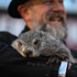 Punxsutawney Phil sees his shadow, forecasting 6 more weeks of wintry weather