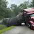 Millions of honeybees escape after crash