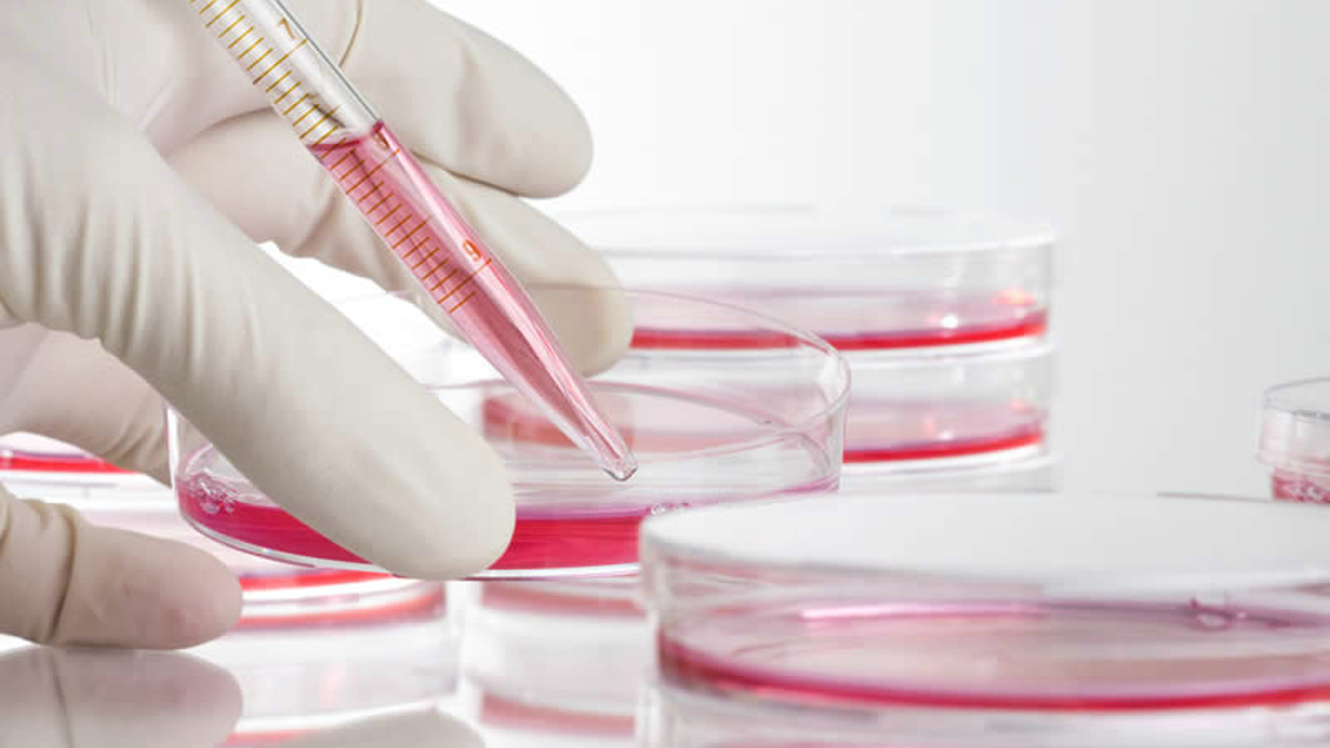 Are lab experiments what God meant by 'be fruitful'? - Vimarsana News