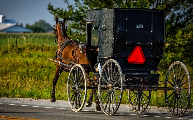 Biden Scandal will have us looking to the Amish for help
