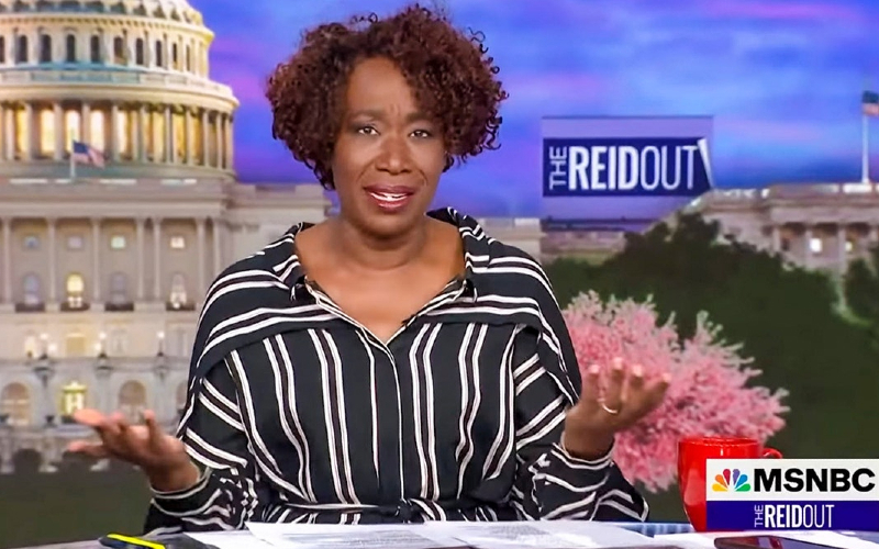 MSNBC host makes bizarre claim but nobody saw it