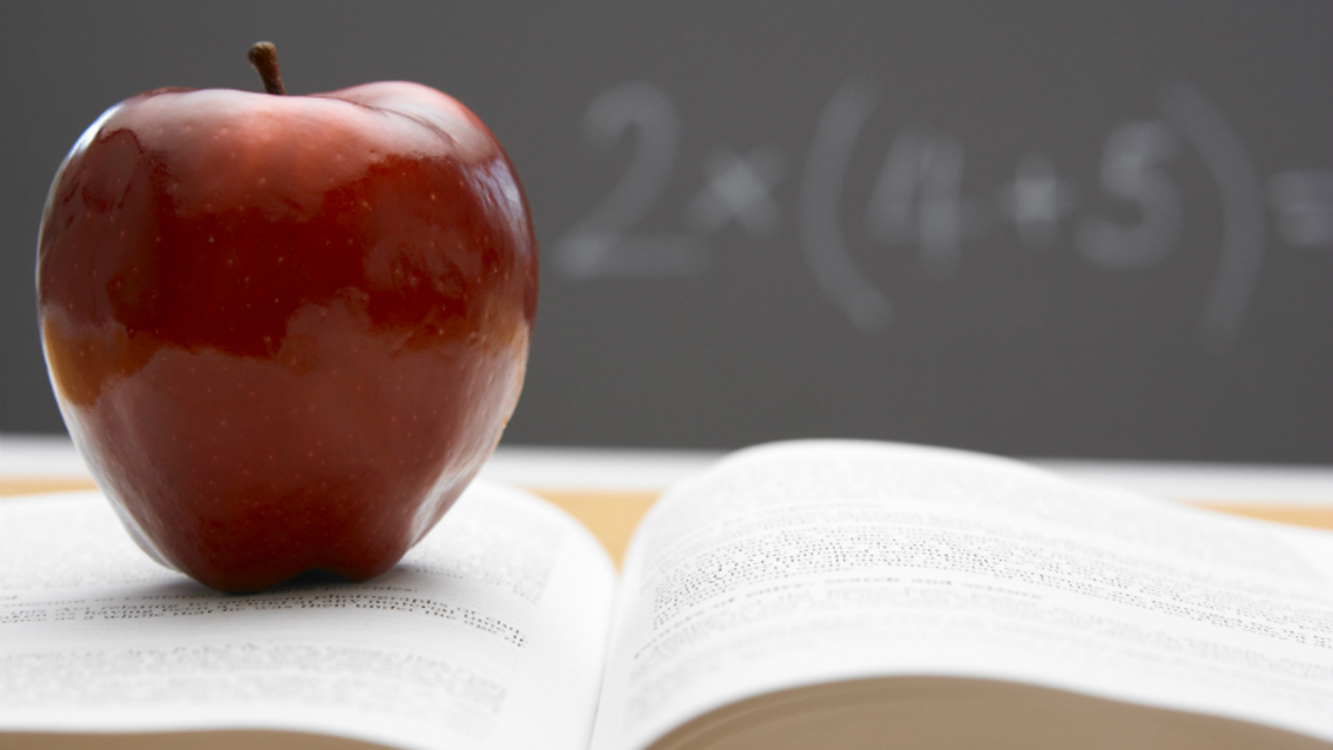 Emotions-based education making U.S. 'a laughingstock' - Vimarsana News