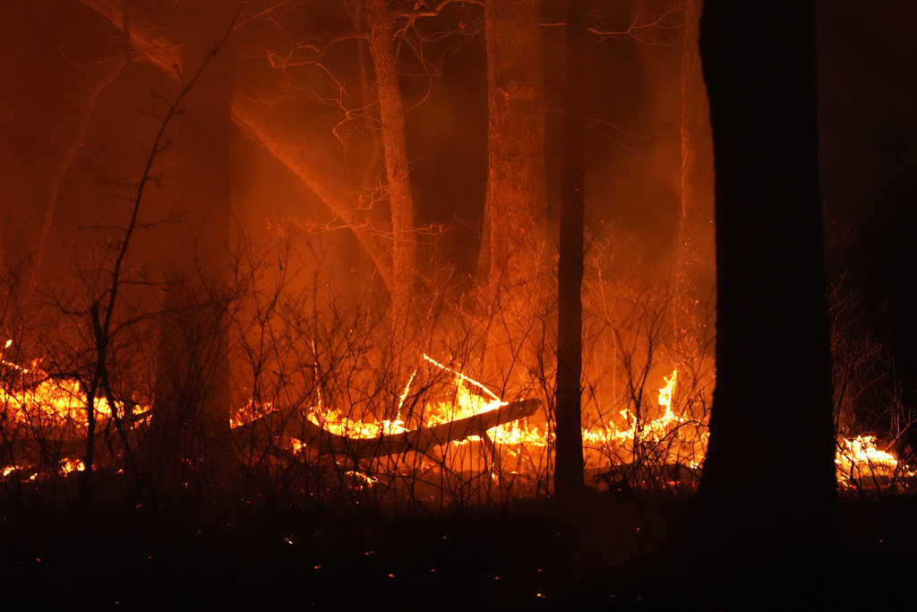 New Jersey forest fire forces thousands to evacuate
