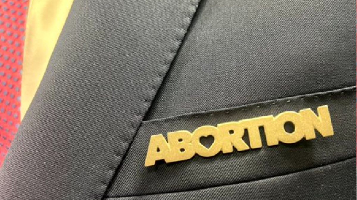 Baby-killing Dems called sick, depraved and kind of crazy - Vimarsana News