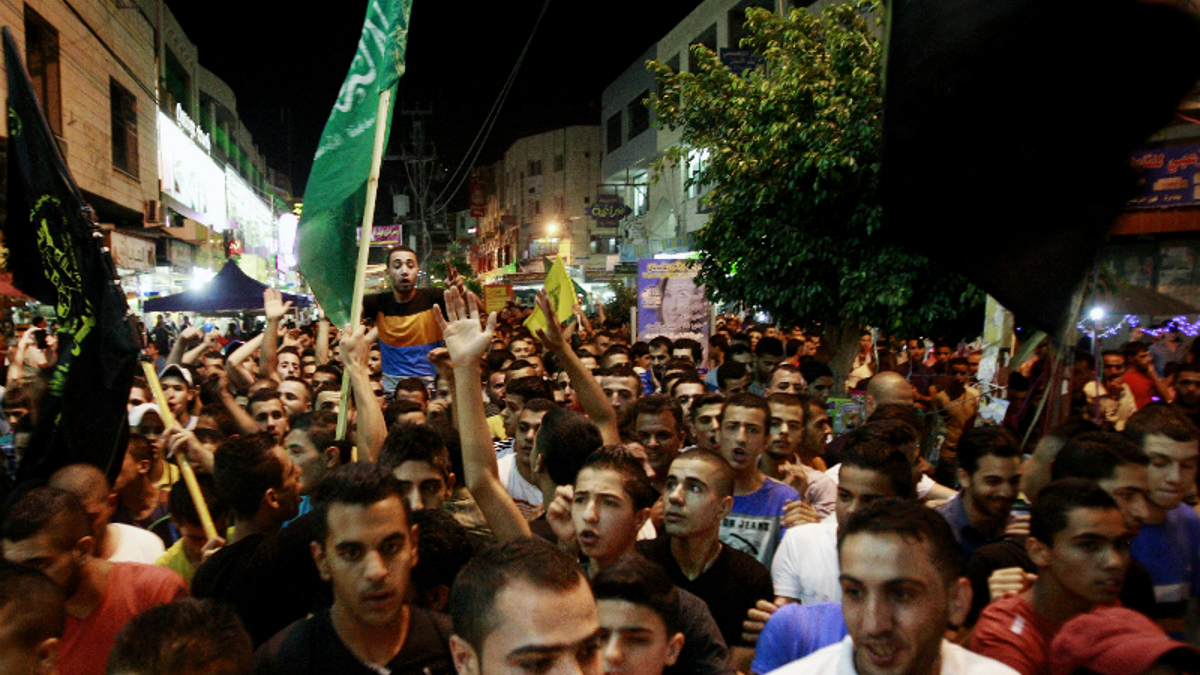 Survey: Dems' sympathies with Palestinians at all-time high - Vimarsana News