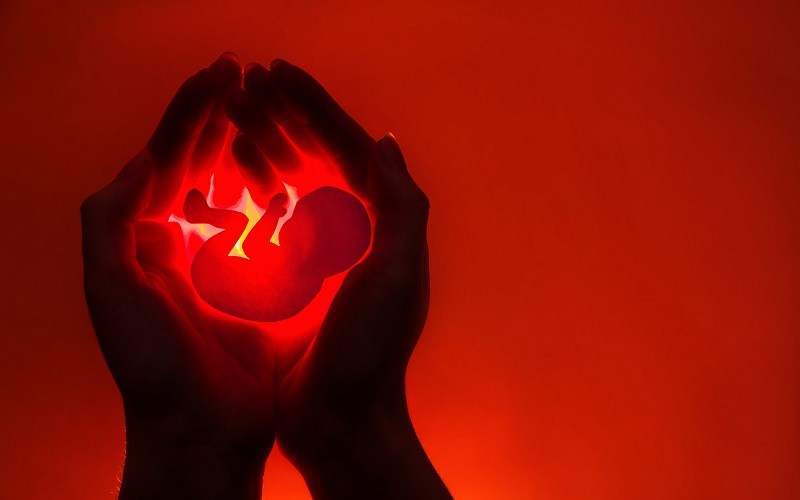 Life begins at conception – more than just a 'religious belief' - Vimarsana News