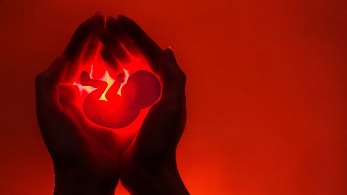 SD, AZ showing their pro-life creds - Vimarsana News