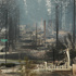 Washington state fires destroy hundreds of structures and force thousands to evacuate