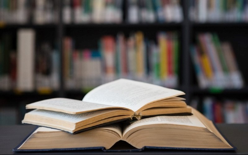 Rule-breaking teacher risks job for 'gay books'