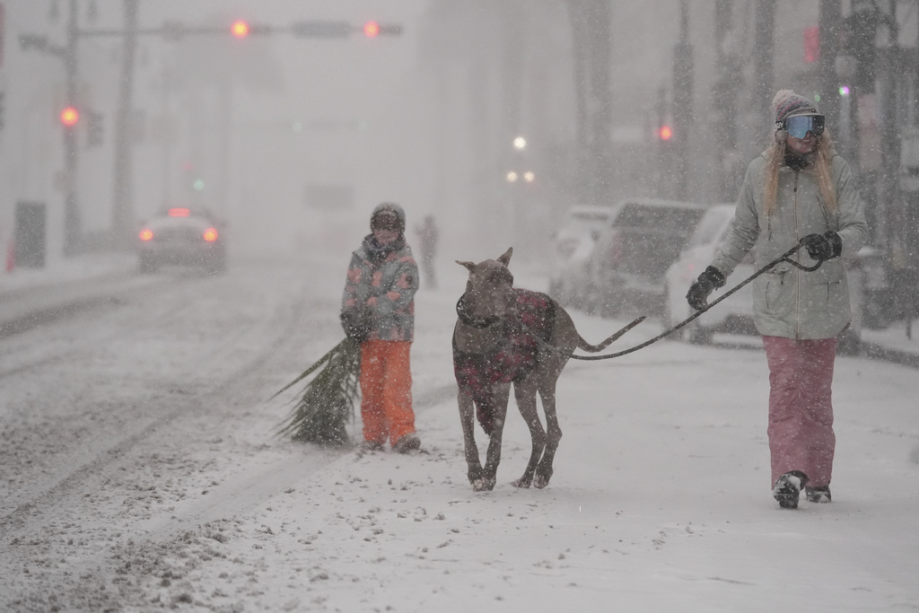 Houston and New Orleans hit with winter storm