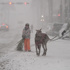 Houston and New Orleans hit with winter storm