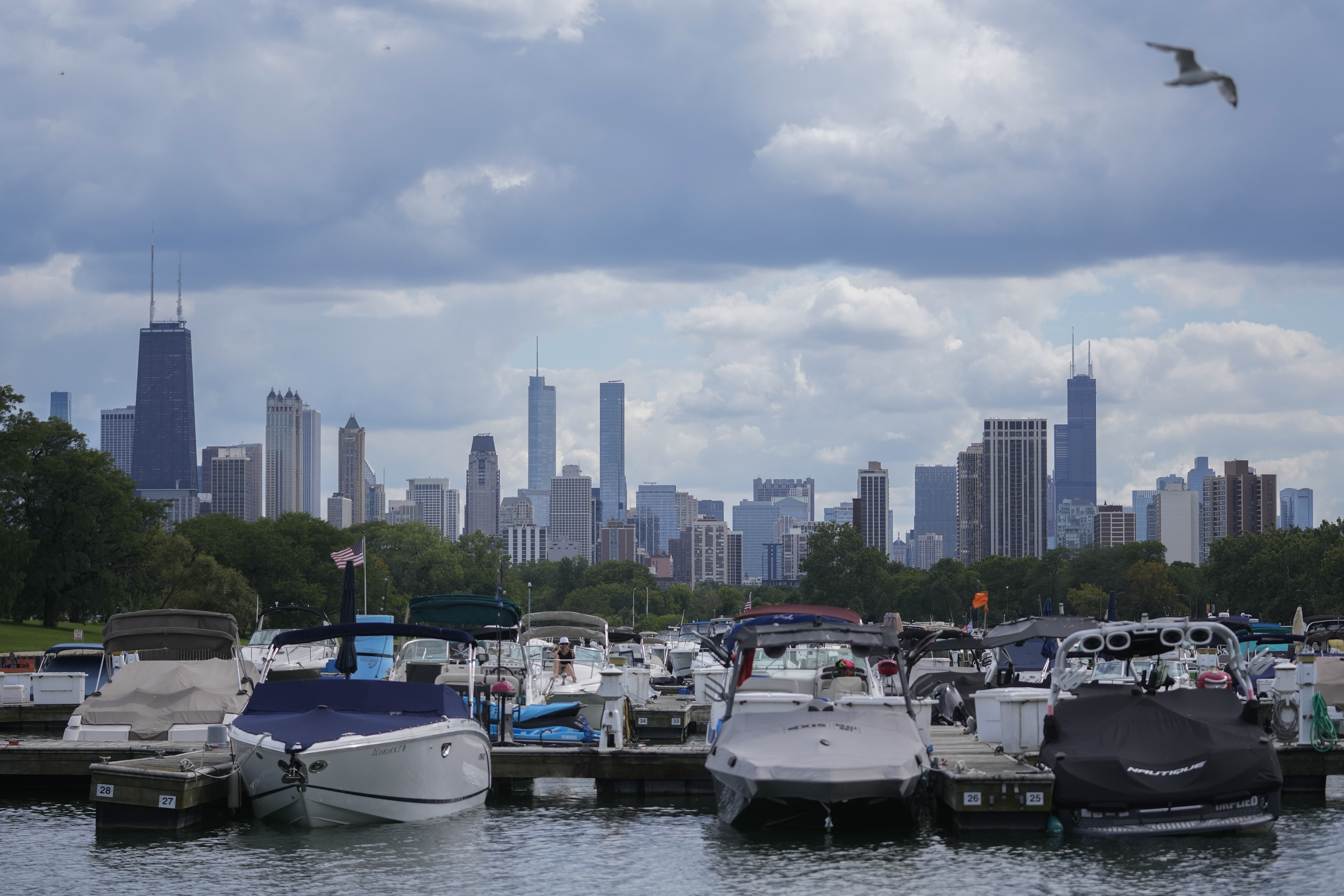 Easley blasts Chicago, Illinois leaders' silence after lakefront murder