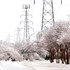 Texas power woes linger as Arctic air heads for New England