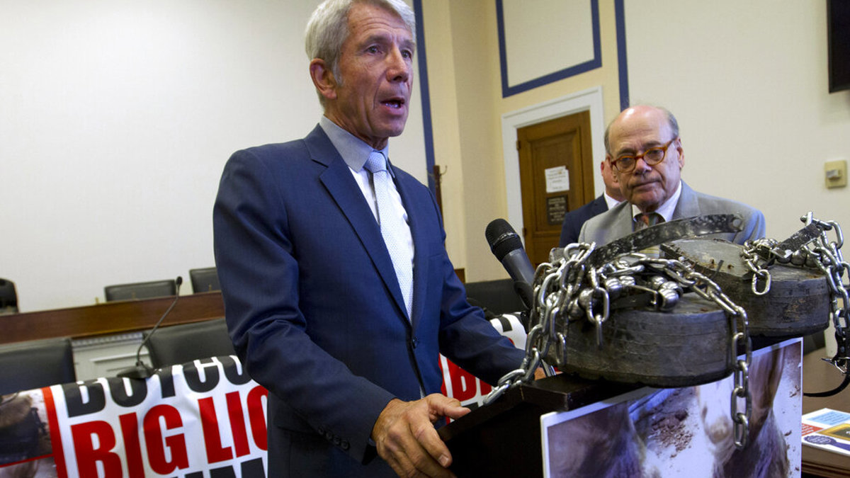 Biden-backed 7-term congressman ousted in Oregon primary - Vimarsana News