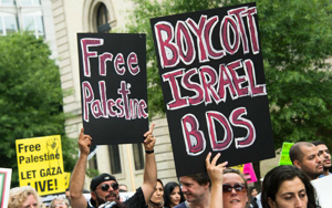 Israel-hating UNC professors condemn 'neutrality' from their peers