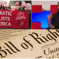 GOP lawmaker vows to challenge DSA Dems over platform that crushes republic they represent