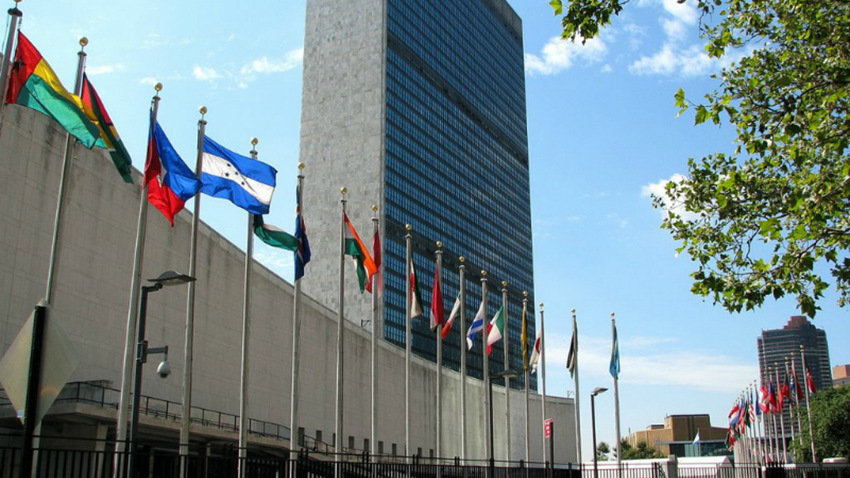 U.N. considers abandoning biology to punish conservatives - Vimarsana News