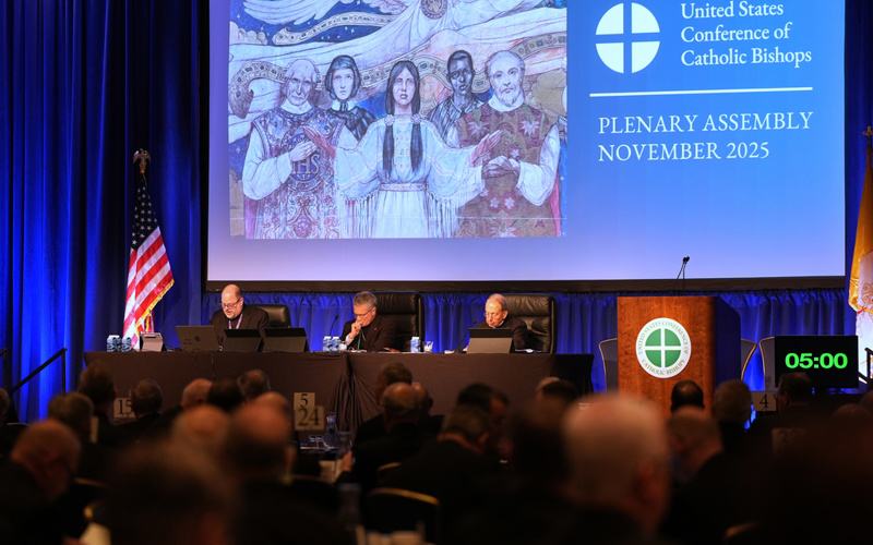 US bishops officially ban gender-manipulation procedures at Catholic hospitals