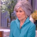 The Hollywood Left shamelessly lies for 'the First Amendment'