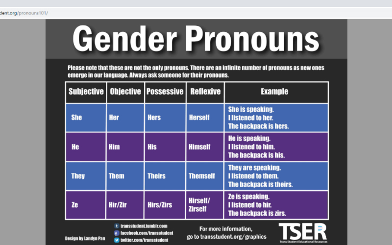 School likens pronoun confusion to sexual harassment