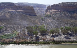 Colorado families return to ashes after wildfire devastates community