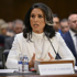 Tulsi Gabbard, Trump's pick to oversee US spy agencies, faces fiery confirmation hearing