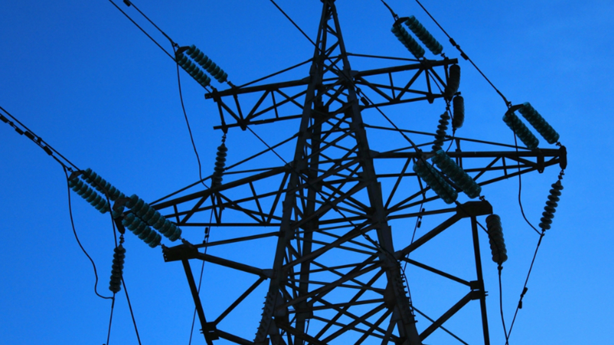 This energy policy will only result in higher costs, more dependence - Vimarsana News