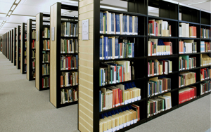 Placement of graphic books at the core of Texas library director's firing