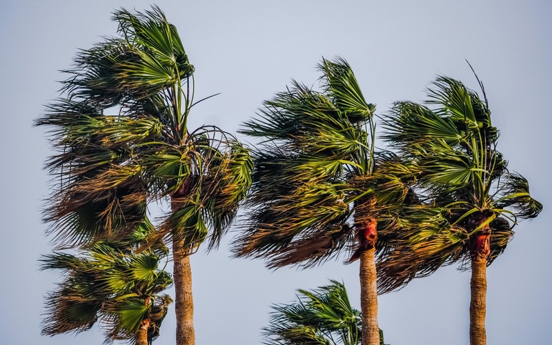 Lala strengthens into a hurricane and bears down on Hawaii’s Big Island with heavy rain, winds