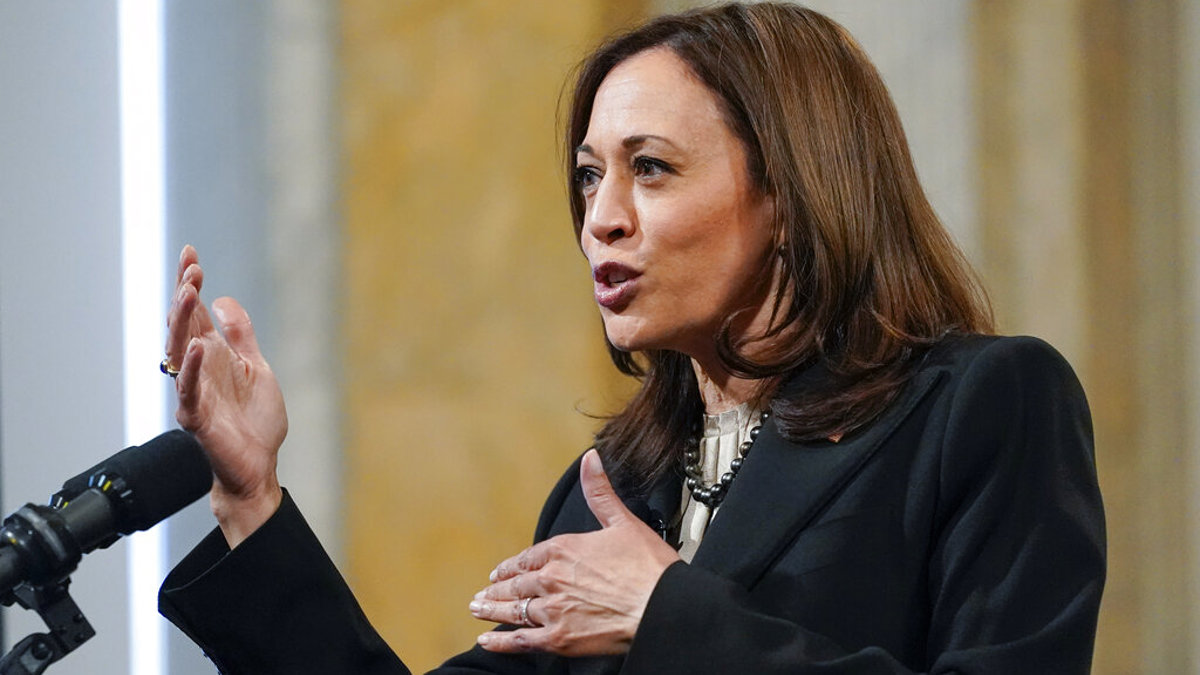 VP Harris announces race-based loans program - Vimarsana News