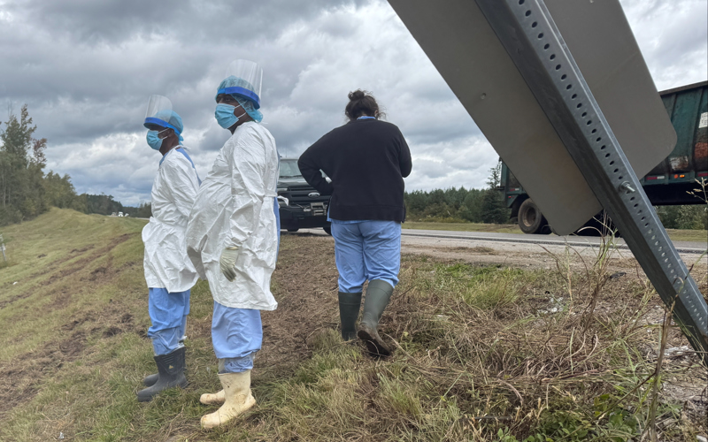 Mississippi woman kills escaped monkey fearing for her children's safety