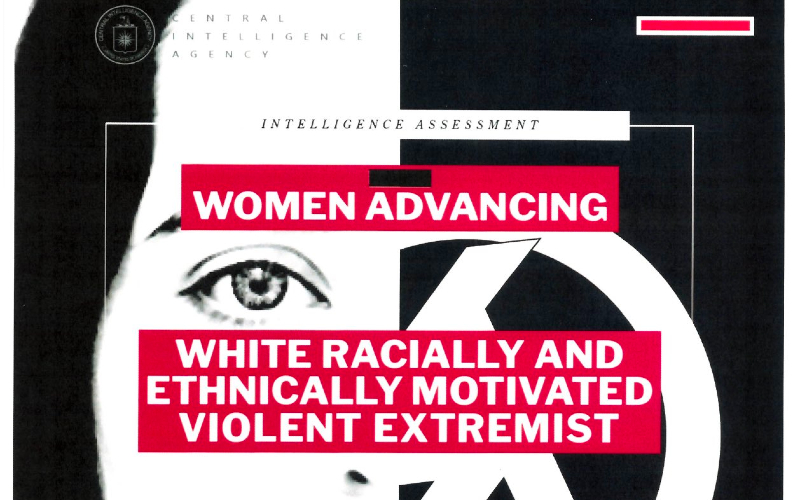 CIA concern over stay-at-home moms might outdo DOJ pursuit of parents