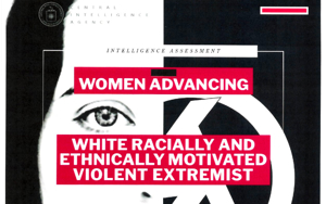 CIA concern over stay-at-home moms might outdo DOJ pursuit of parents