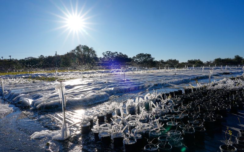More frigid temperatures expected in much of US after a weekend of heavy snow