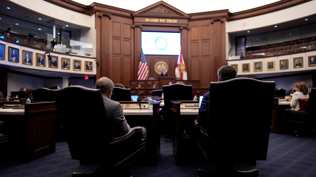 Florida court to consider state's redistricting plan