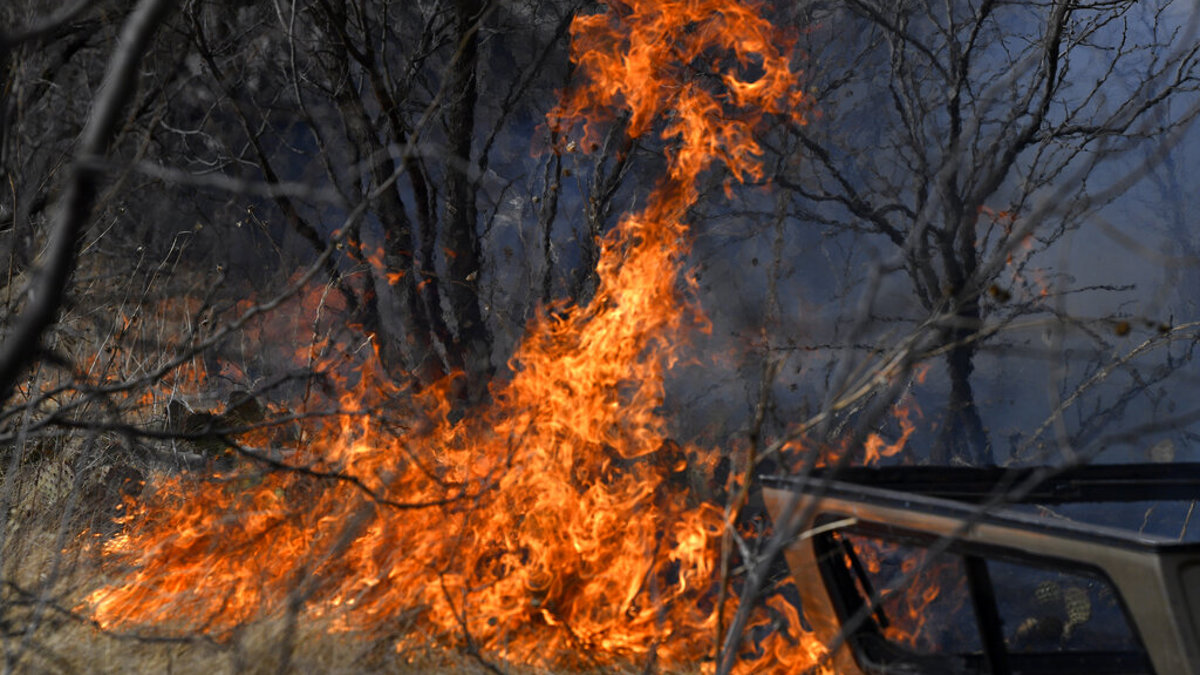 Wildfires scorch West Texas, prompting evacuations - Vimarsana News