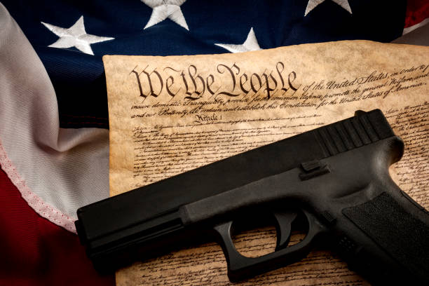 The judge is right – Pro-gun litigants have the law on their side