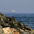 US military boards Iranian-flagged oil tanker