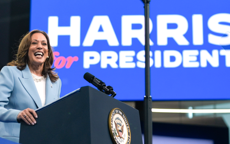 Who would stop a President Harris? Answer is found in down-ballot races