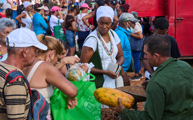 Cubans struggle to survive on pocket-size government ration books as products dwindle