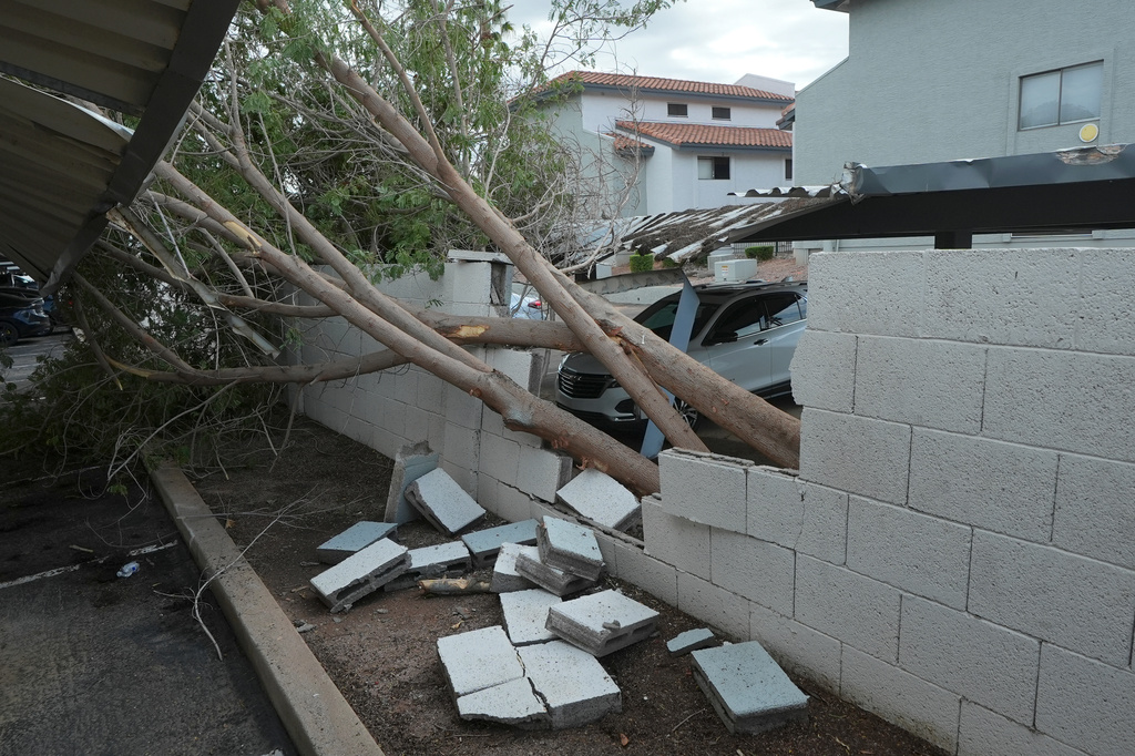 Violent Arizona storms bring possible tornado, toppled trees and golf ball-size hail